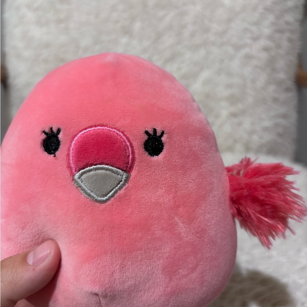 Squishmallow Cookie The Flamingo 5”